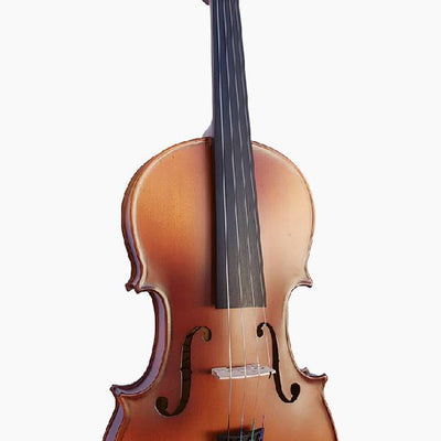 Vivo Violins
