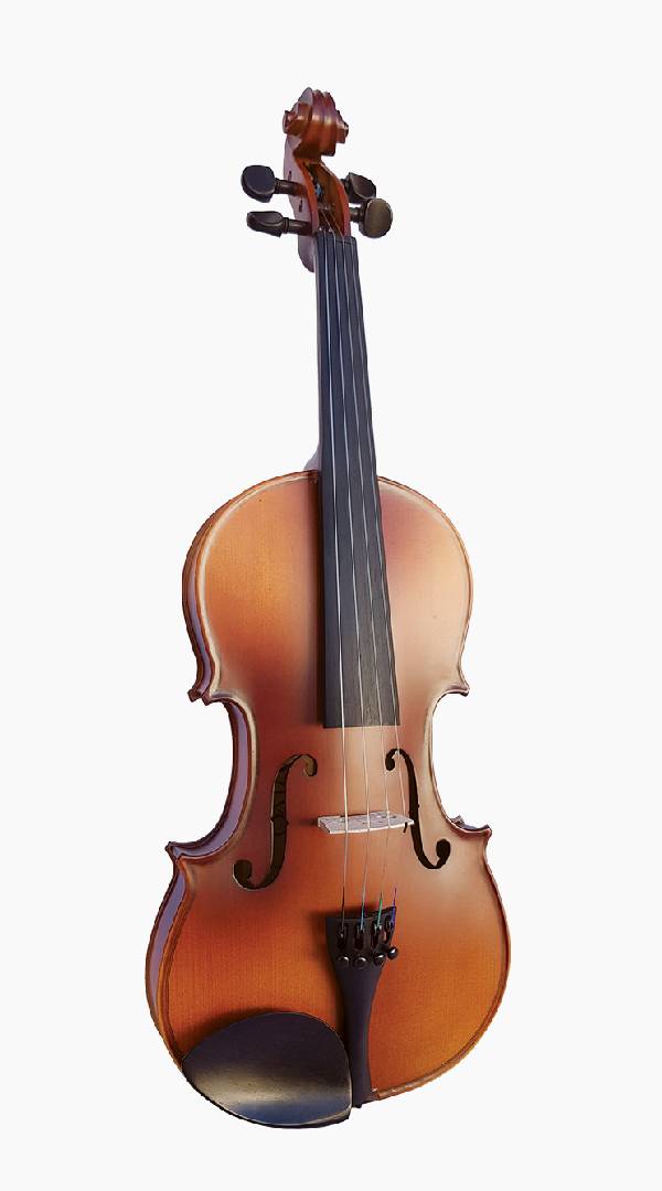 Vivo Neo Student Violin 1/4 Size - Sieffs Music