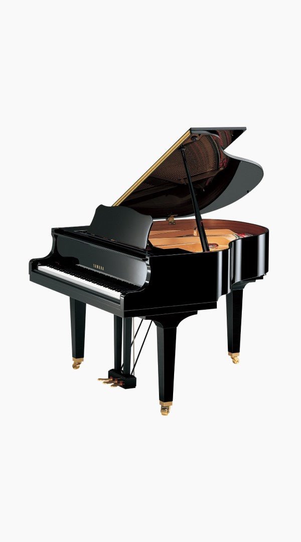 Yamaha Baby Grand Piano GB1K Polished Black (Ebony) - Sieffs Music