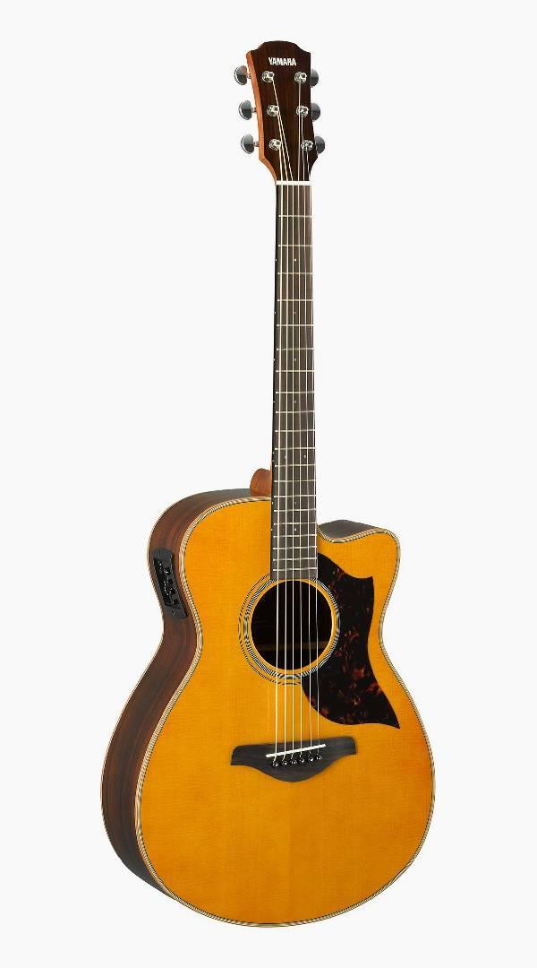 Yamaha Concert Cutaway Acoustic Guitar - Sieffs Music