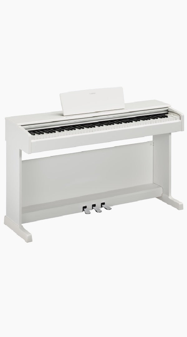 Yamaha Digital Piano YDP-145 - Sieffs Music